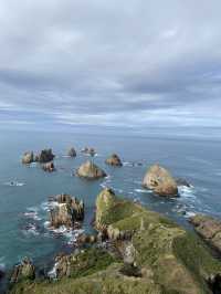 잠시 멈춰, 나를 찾아가는 더나든 여행