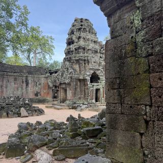 Ta Prohm 寺廟 ប្រាសាទ តាព្រហ្ម
