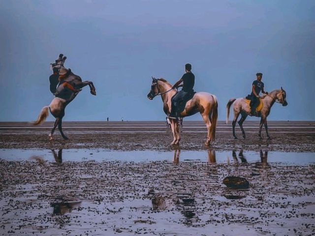 Sunny Shores Await🌞 coxs Bazar ⛵
