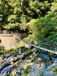 北投最夯的景點~草山觀瀑吊橋及猴崁古道走走
