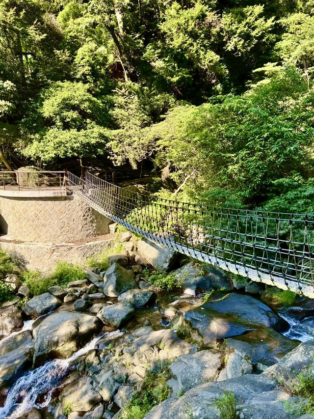 北投最夯的景點~草山觀瀑吊橋及猴崁古道走走 北投最夯的景點~草山觀瀑吊橋及猴崁古道走走