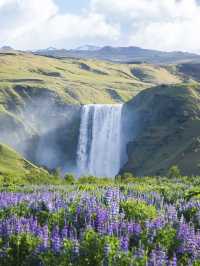 冰島隱藏版瀑布!Gljúfrabúi峽谷探秘 🚶♂️🌊 11月南岸打卡必去