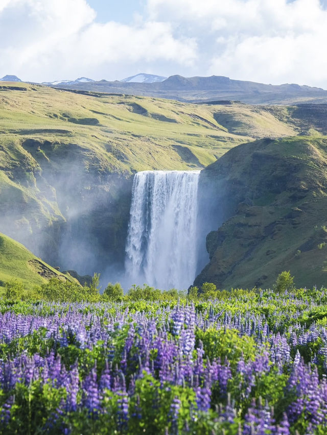 冰島隱藏版瀑布!Gljúfrabúi峽谷探秘 🚶♂️🌊 11月南岸打卡必去 冰島隱藏版瀑布!Gljúfrabúi峽谷探秘 🚶♂️🌊 11月南岸打卡必去