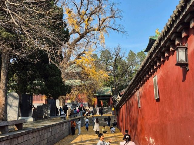 วัดเส้าหลิน — ต้นกำเนิดกังฟูระดับตำนานที่ต้องมา