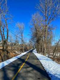 🌲 Fish Creek Provincial Park – Calgary’s Wild Urban Wilderness