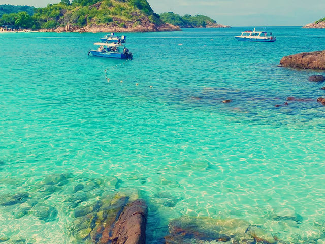 馬來西亞🇲🇾嬤嬤茶屋