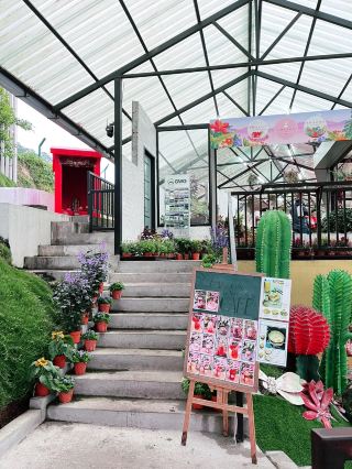 Agro Market Cameron Highlands – A Colorful Haven of Flora & Cactus