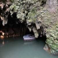 Waitomo Glowworm Caves