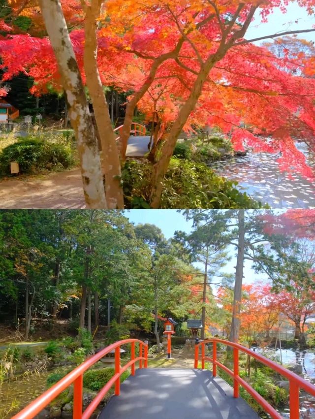 京都小眾紅葉秘境✨大原野神社の私藏打卡指南 京都小眾紅葉秘境✨大原野神社の私藏打卡指南