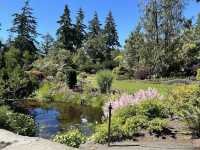 Queen Elizabeth Park