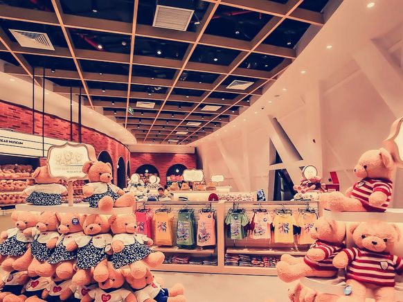 越南🇻🇳泰迪熊博物館