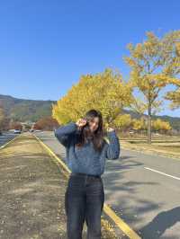 경주 은행나무 포토존 유적지