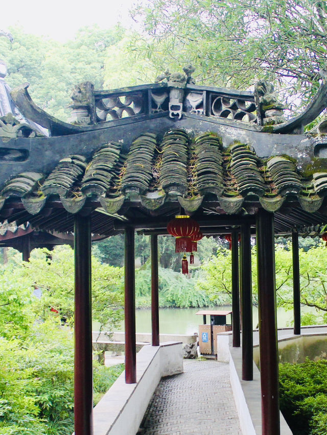 Shanghai: Zuibaichi Park Views🌿🪷 Shanghai: Zuibaichi Park Views🌿🪷