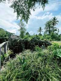“Rock Garden Bau – A Scenic Limestone Escape”