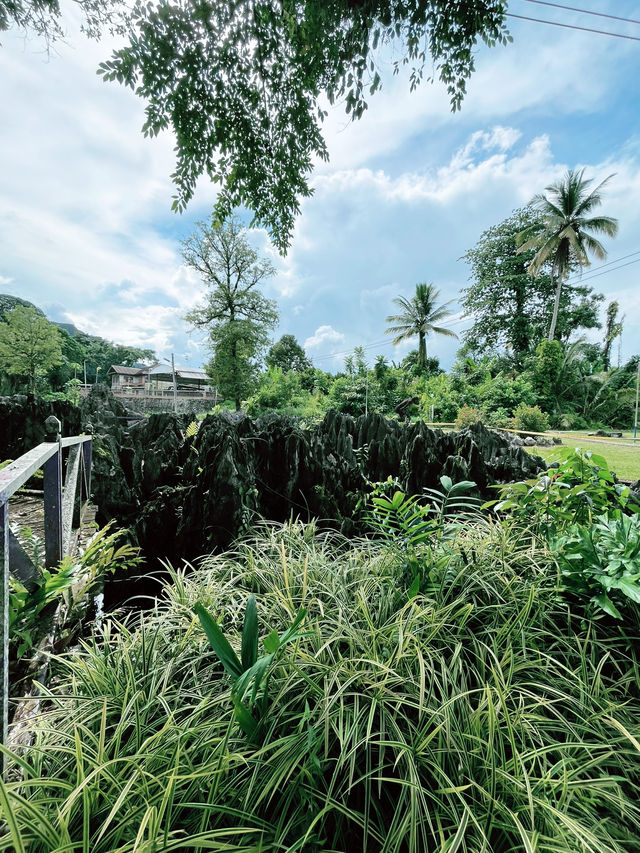 “Rock Garden Bau – A Scenic Limestone Escape” “Rock Garden Bau – A Scenic Limestone Escape”