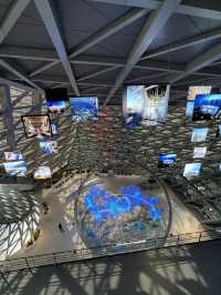 รีวิวสุดล้ำ! Shenzhen Mocape!