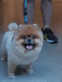 南豐紗廠沉浸式美學展覽🎨