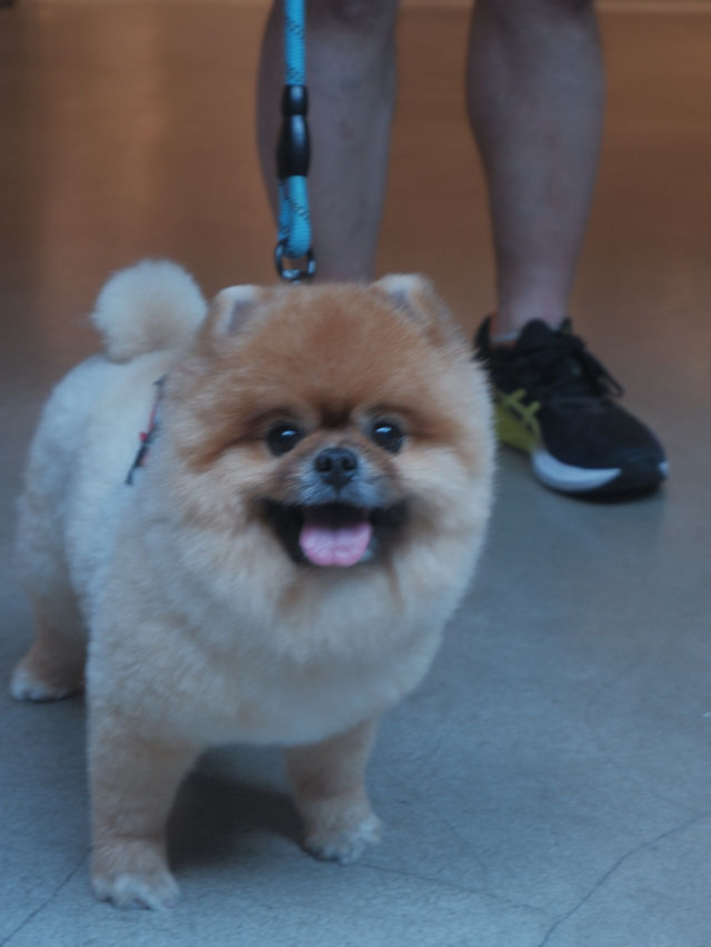 南豐紗廠沉浸式美學展覽🎨 南豐紗廠沉浸式美學展覽🎨