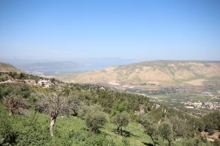 อุมม์ไกส์ – ซากปรักหักพังโบราณที่มีทัศนียภาพงดงามที่สุดแห่งหนึ่งในจอร์แดน

อุมม์ไกส์เป็นสถานที่ที่ประวัติศาสตร์และภูมิทัศน์ผสานกันอย่างลงตัว ซากปรักหักพังโบราณ บรรยากาศเงียบสงบ และทัศนียภาพอันน่าทึ่งที่มองเห็นสามประเทศพร้อมกัน ได้แก่ จอร์แดน อิสราเอล และซีเรีย เมื่อเทียบกับเจราชแล้ว ที่นี่ให้ความรู้สึกสงบและเป็นธรรมชาติมากกว่า มีนักท่องเที่ยวน้อยมาก

เมืองนี้เป็นที่รู้จักในสมัยโรมันในชื่อกาเดรา ซึ่งเป็นส่วนหนึ่งของเดคาโพลิส และในปัจจุบันคุณยังสามารถเดินชมซากปรักหักพังหินบะซอลต์ โรงละคร และถนนที่มีเสาเรียงราย พร้อมชมวิวทะเลกาลิลีได้

🚗 วิธีการเดินทาง

อุมม์ไกส์ตั้งอยู่ทางตอนเหนือของจอร์แดน ใกล้กับชายแดนซีเรีย

– จากอัมมาน – ใช้เวลาประมาณ 2 ชั่วโมงโดยรถยนต์
– จากเจราช – ประมาณ 45 นาที
– แท็กซี่หรือรถเช่าเป็นตัวเลือกที่สะดวกที่สุด
– มีระบบขนส่งสาธารณะ แต่ช้าและไม่สะดวก

คำแนะนำ: ควรเที่ยวชมเป็นส่วนหนึ่งของการเดินทางท่องเที่ยวทางตอนเหนือของจอร์แดนด้วยรถยนต์

🎟 ค่าเข้าชม

– 3 ดีนาร์จอร์แดน
– เข้าชมฟรีสำหรับผู้ถือ Jordan Pass

🏛 สิ่งที่น่าสนใจ

– โรงละครตะวันตกที่สร้างจากหินบะซอลต์สีดำ
– ถนนที่มีเสาเรียงราย
– ระเบียงโบสถ์
– บ้านเรือนสมัยออตโตมันโบราณ
– จุดชมวิวแบบพาโนรามาเหนือทะเลกาลิลี
– บริเวณพิพิธภัณฑ์ภายในอาคารที่ได้รับการบูรณะ

คุณสามารถเที่ยวชมทุกอย่างได้ภายในเวลาประมาณ 1-1.5 ชั่วโมง


🕒 ช่วงเวลาที่ดีที่สุดในการเยี่ยมชม

– ช่วงบ่ายแก่ๆ เพื่อชมวิวและรับแสงสวยๆ
– พระอาทิตย์ตกดินสวยงามเป็นพิเศษ
– หลีกเลี่ยงความร้อนจัดในช่วงกลางวันของฤดูร้อน

⚠️ คำแนะนำ

– พกน้ำดื่มไปด้วย เพราะมีร้านค้าจำกัด
– สวมรองเท้าเดินสบาย (พื้นเป็นหินบะซอลต์ไม่เรียบ)
– ลมอาจแรงบนที่ราบสูง
– อย่ารีบร้อน – ที่นี่เน้นบรรยากาศ

🔗 สถานที่ที่ควรไปควบคู่ด้วย

อุมม์ไกส์เหมาะอย่างยิ่งที่จะไปควบคู่กับ:
– เจราช
– ปราสาทอาจลูน
– ขับรถเที่ยวชมชนบททางตอนเหนือของจอร์แดน

ทั้งหมดนี้รวมกันแล้วเป็นทริปเต็มวันหรือทริปพักค้างคืนแบบสบายๆ จากอัมมานที่ยอดเยี่ยม

#จอร์แดน #อุมม์ไกส์ #เที่ยววันเดียว #พิพิธภัณฑ์
#ท่องเที่ยว #สิ่งที่ควรทำ #ทัวร์วันเดียวในเมือง