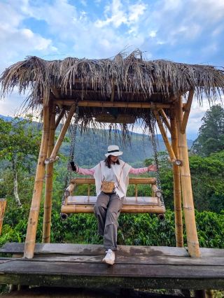 Strolling through a coffee plantation in Salento, Colombia