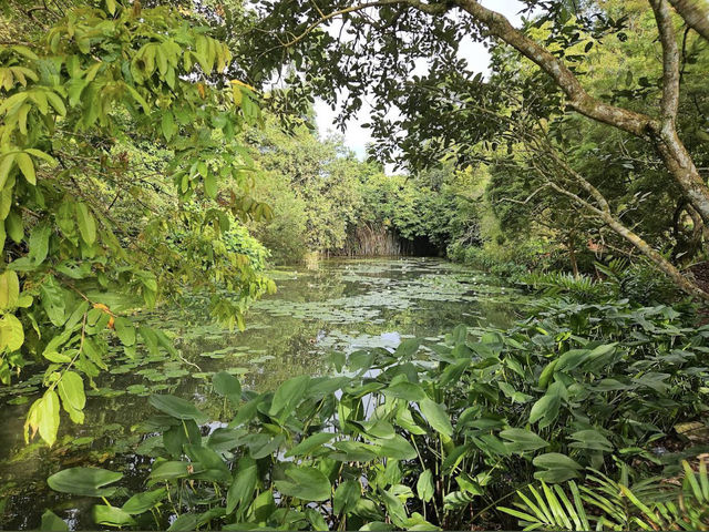 Singapore Botanic Gardens