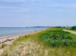 Where Time Slows Down: Panmure Island Beach 🌾