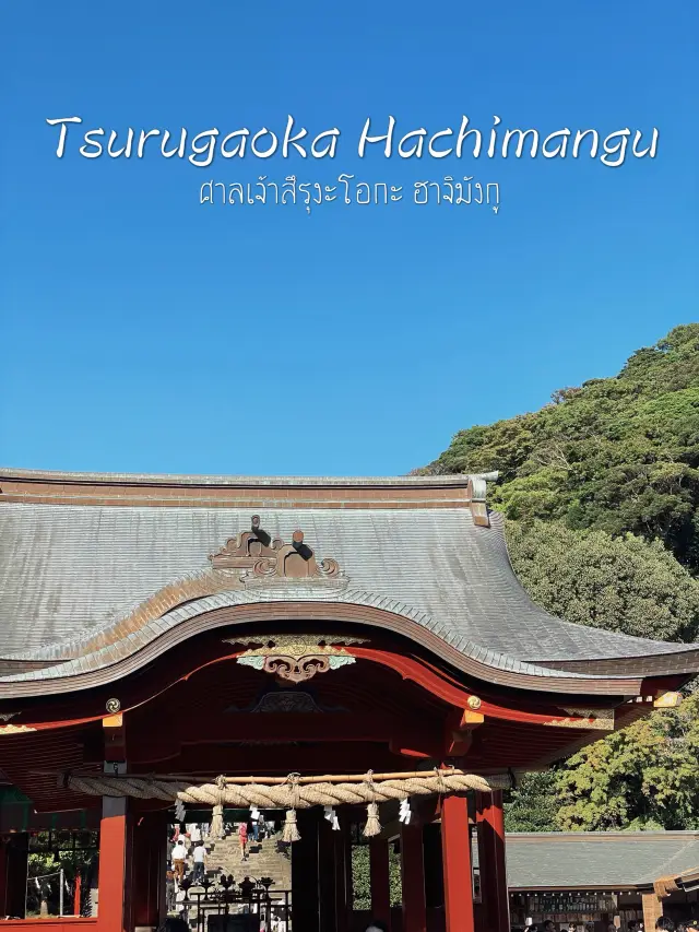 Tsurugaoku Hachimangu เมืองคามาคุระ ⛩️