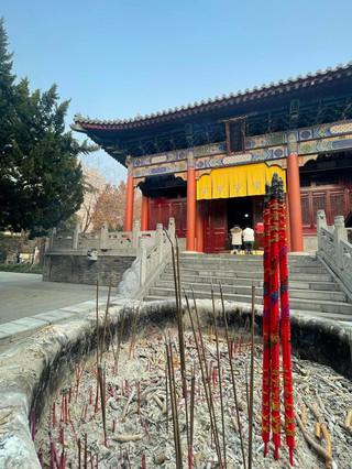 西安｜大興善寺  隱藏於鬧市中的千年古剎。