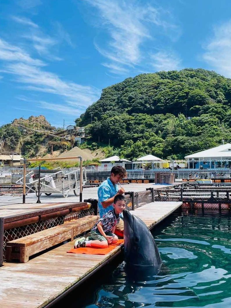 🐬 大分親子！被海豚親吻「大分海豚島」超萌全攻略🐬｜Trip.com 津久見市