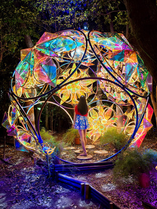 A new nighttime attraction in Fukuoka! Ohori Park's immersive light and shadow exhibition.