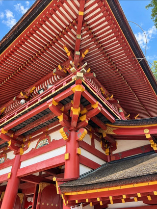 Fukuoka's Shrine of Wishes and Wisdom
