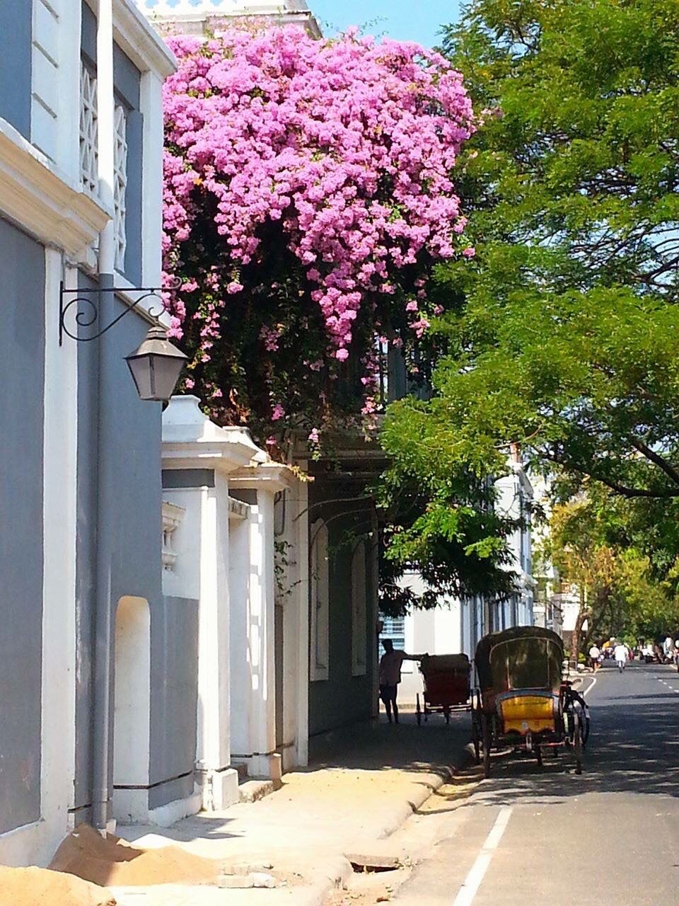 🇫🇷 Pondicherry: 3-day itinerary