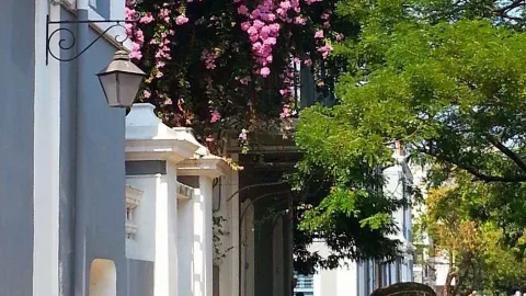 🇫🇷 Pondicherry: 3-day itinerary — traveler post in Puducherry