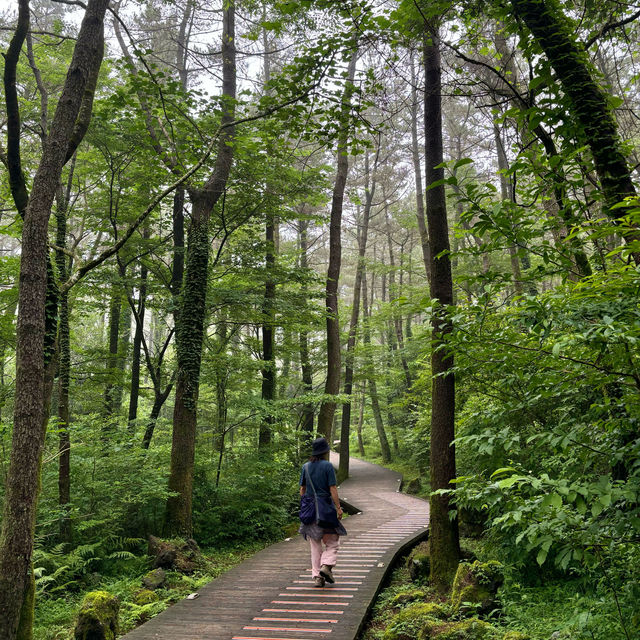 제주여행🏝️ 열다섯번째 오름, 비 오는 날 가기 좋은 붉은오름 자연 휴양림☔️