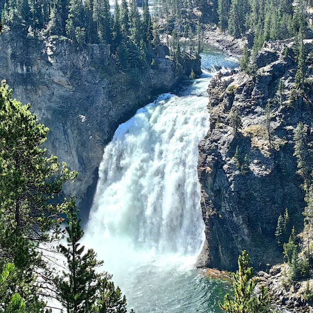 Top tips for Yellowstone National Park 🇺🇸