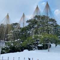 【金沢市🇯🇵兼六園】雪景色に包まれて☺️庭園散策