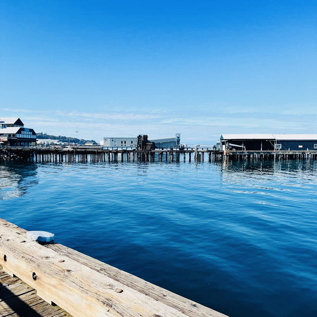 Historic Port town covered by serenity and beauty! 