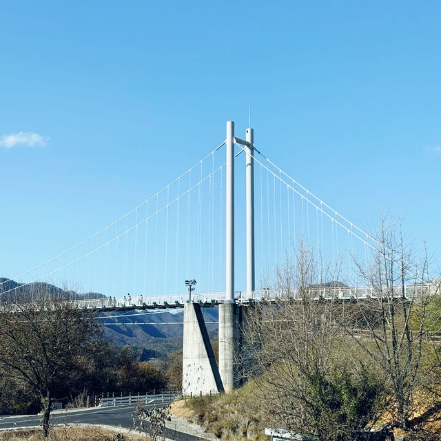 A Walk Above the River: Pocheon Hantangang River Sky Bridge 🇰🇷