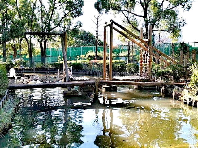 平和之森公園