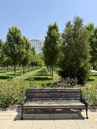 Spring Roses at Independence Square, Dushanbe