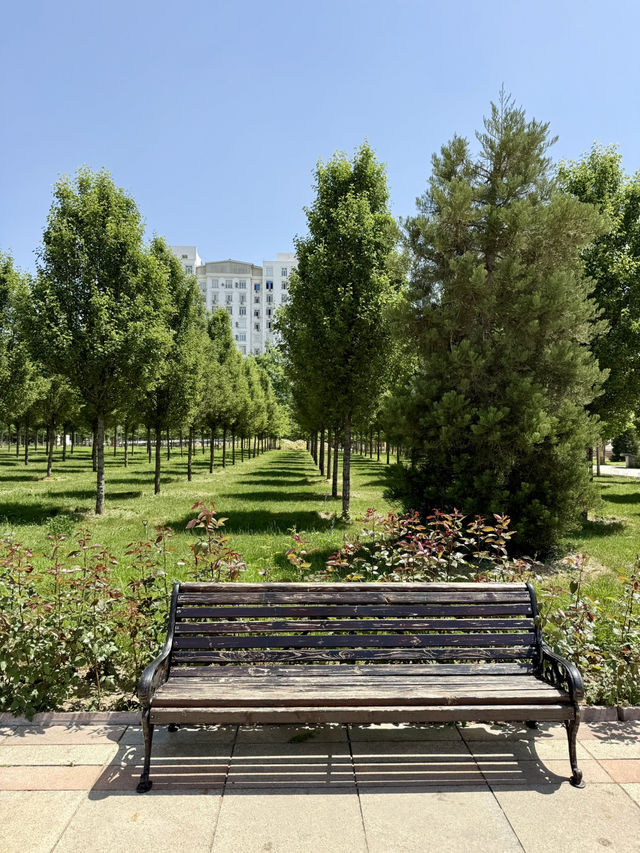 Spring Roses at Independence Square, Dushanbe