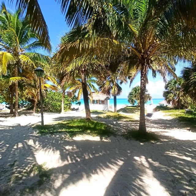 VARADERO Beach 🏖️