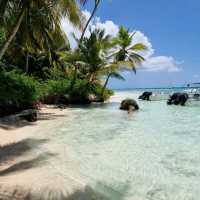 Saona Island 