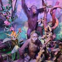 Hisory Museum