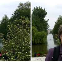 🌟 Exploring London's Hidden Gem: St. James Park 🌳🏰