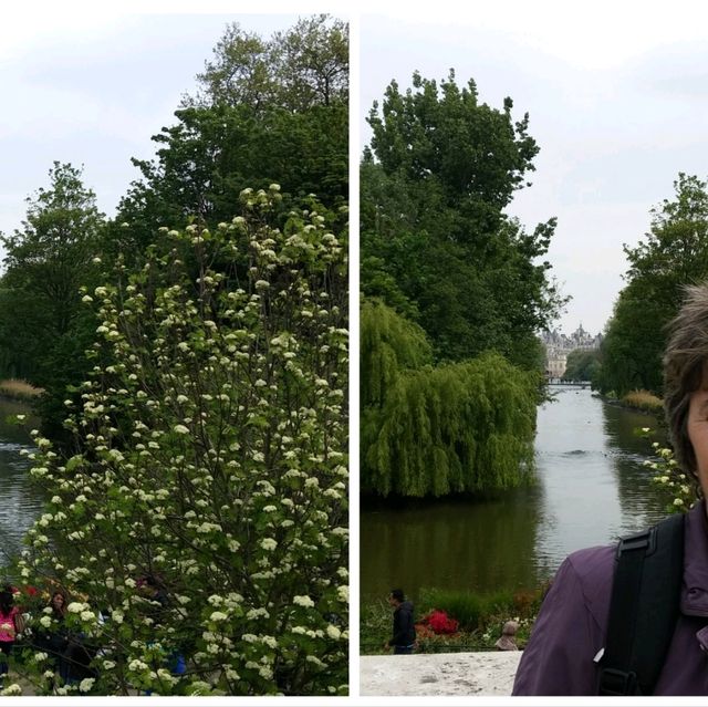 🌟 Exploring London's Hidden Gem: St. James Park 🌳🏰