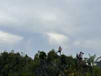 Panoramic View of Limestone Islets