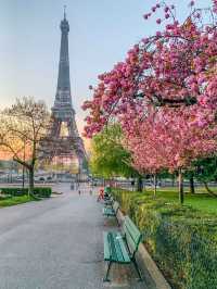 Parisian Elegance: City of Lights🇫🇷🥖
