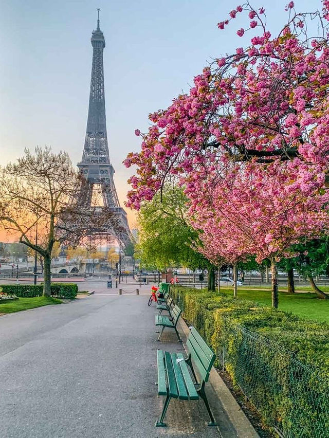 Parisian Elegance: City of Lights🇫🇷🥖