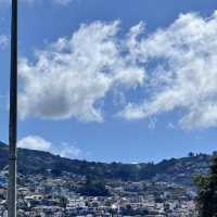 Madeira the dream land